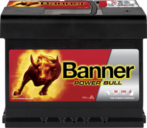 Banner Power Bull P62 19