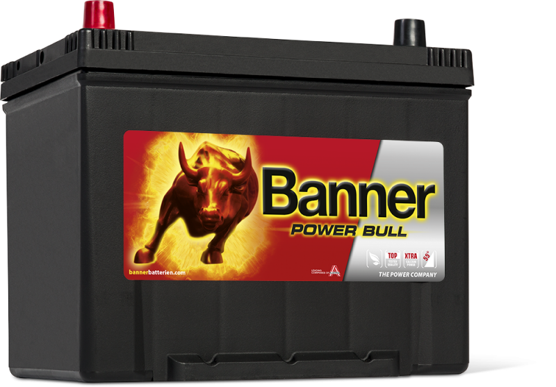 Banner Power Bull P70 24 ASIA