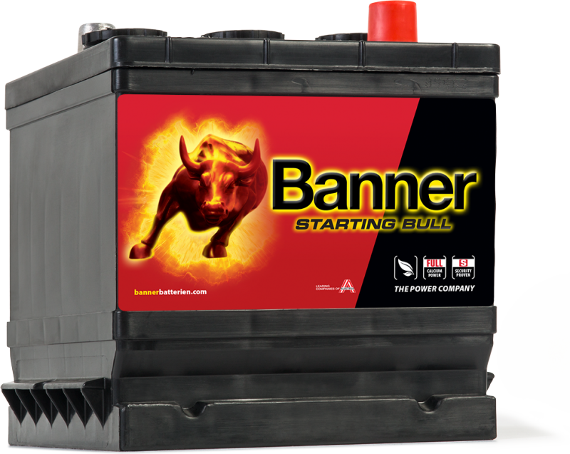 Banner Starting Bull 066 12