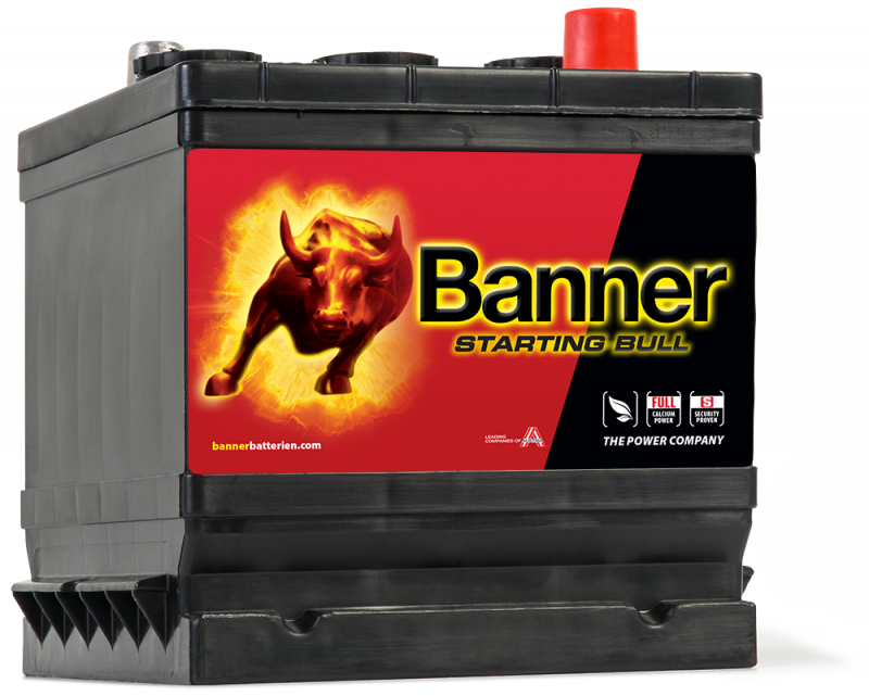Banner Starting Bull 066 12