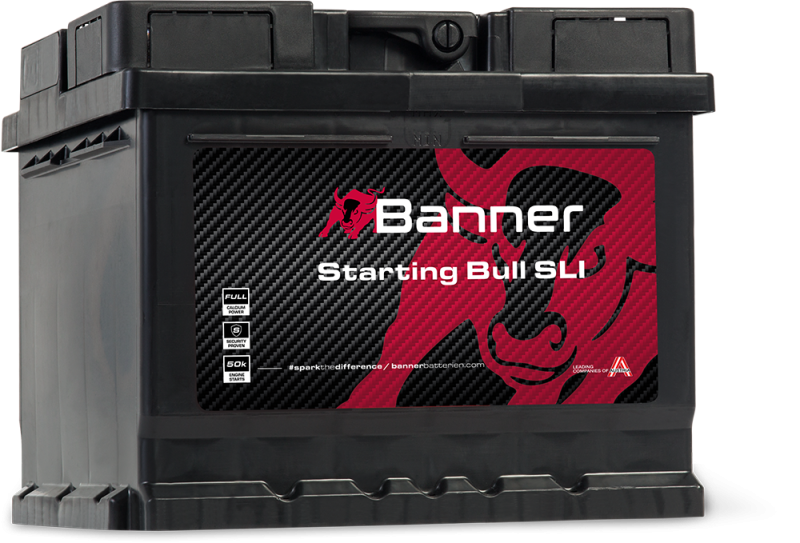 Banner Starting Bull 544 09