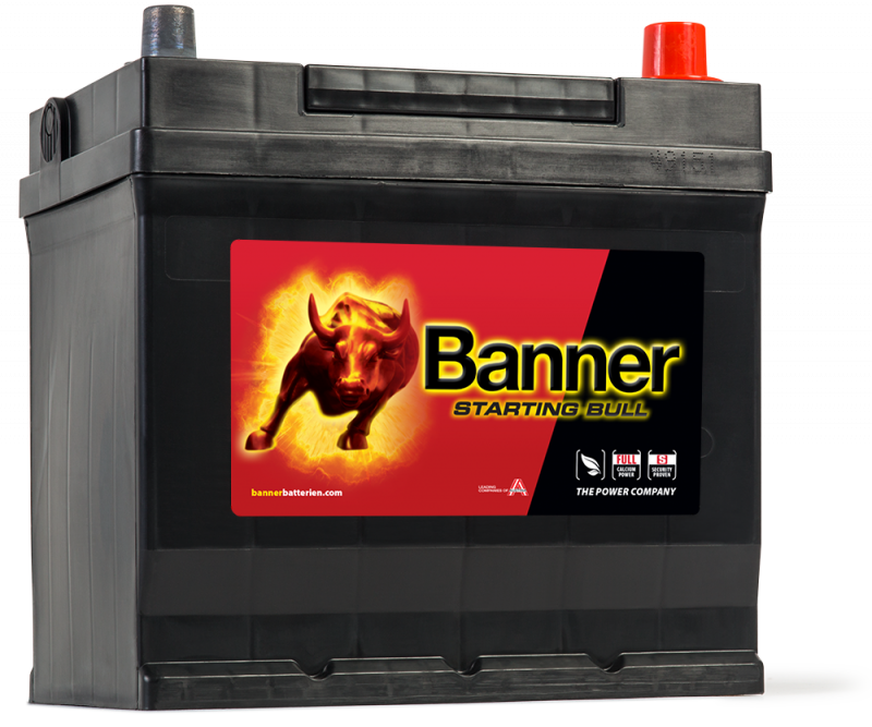 Banner Starting Bull 545 77