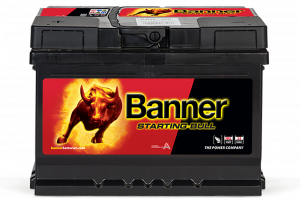 Banner Starting Bull 560 08