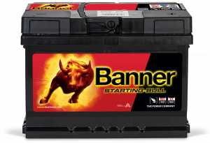 Banner Starting Bull 560 09
