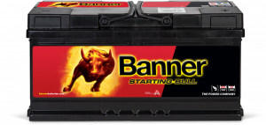 Banner Starting Bull 588 20