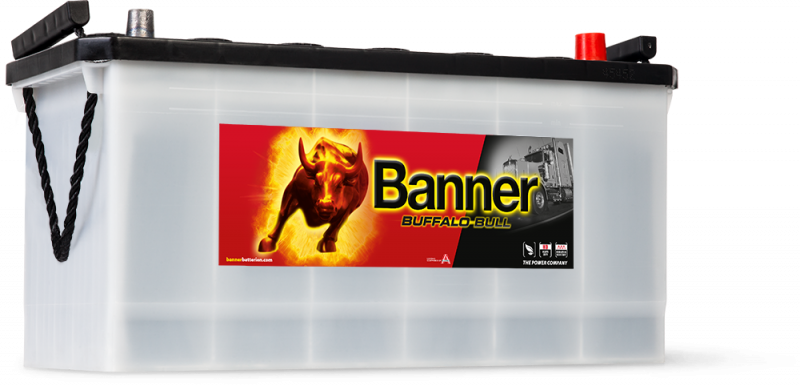 Banner Buffalo Bull 600 26
