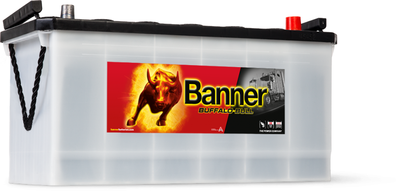 Banner Buffalo Bull 600 26
