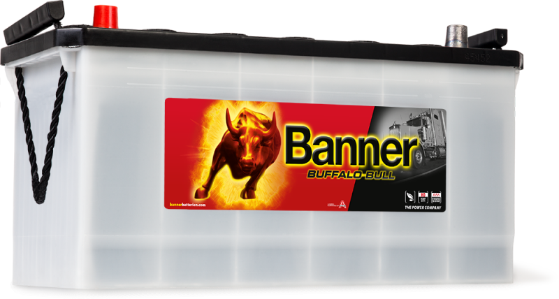 Banner Buffalo Bull 600 35