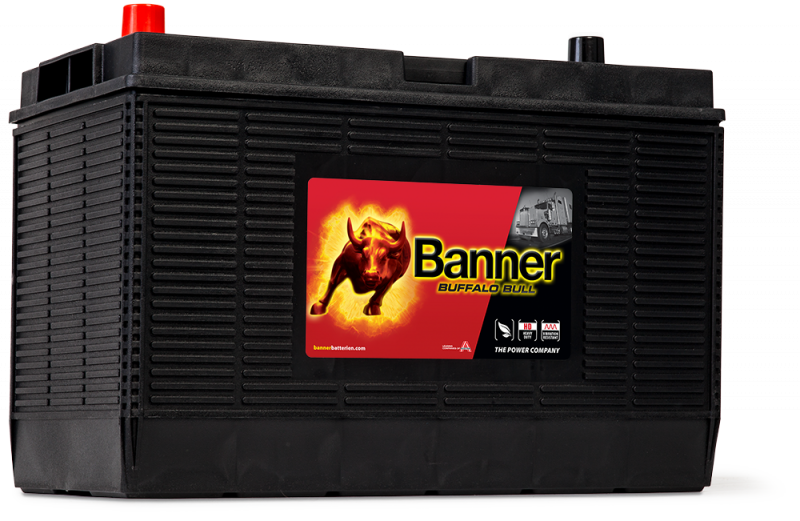 Banner Buffalo Bull 605 02 US BCI 31