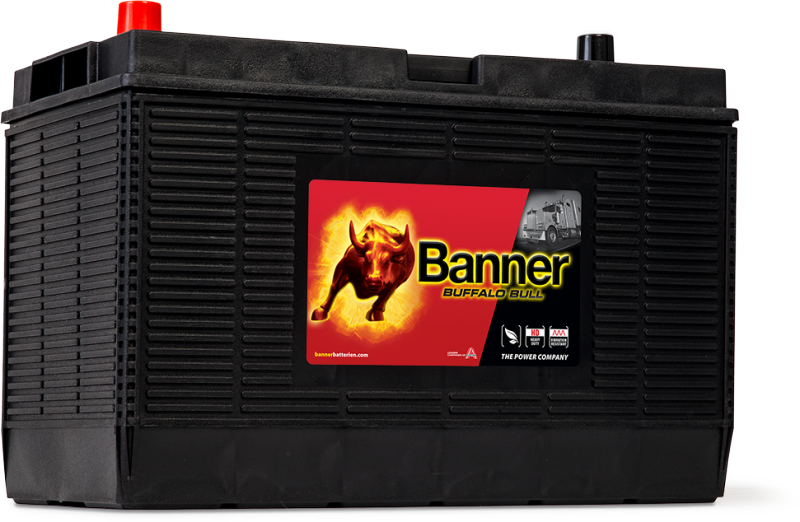 Banner Buffalo Bull 605 02 US BCI 31