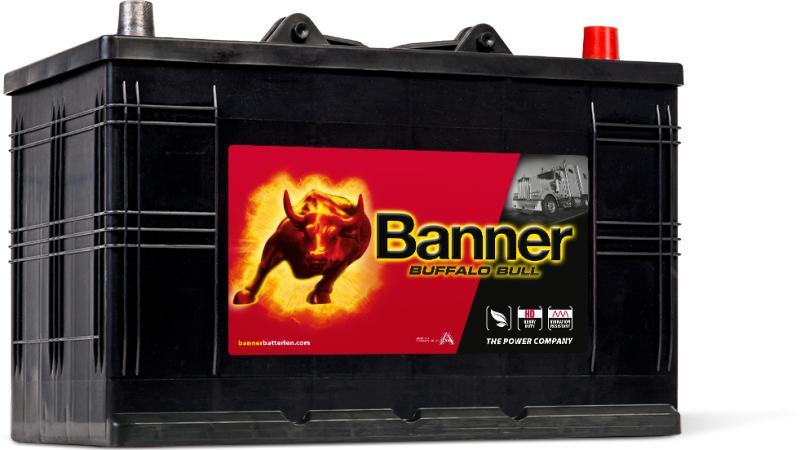 Banner Buffalo Bull 610 11
