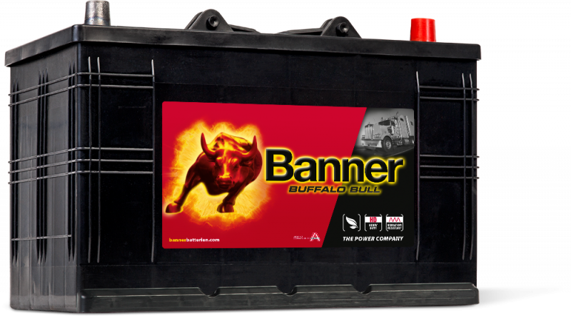 Banner Buffalo Bull 610 11