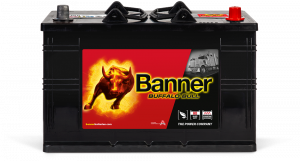 Banner Buffalo Bull 610 11