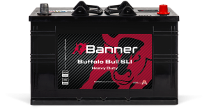 Banner Buffalo Bull 610 11