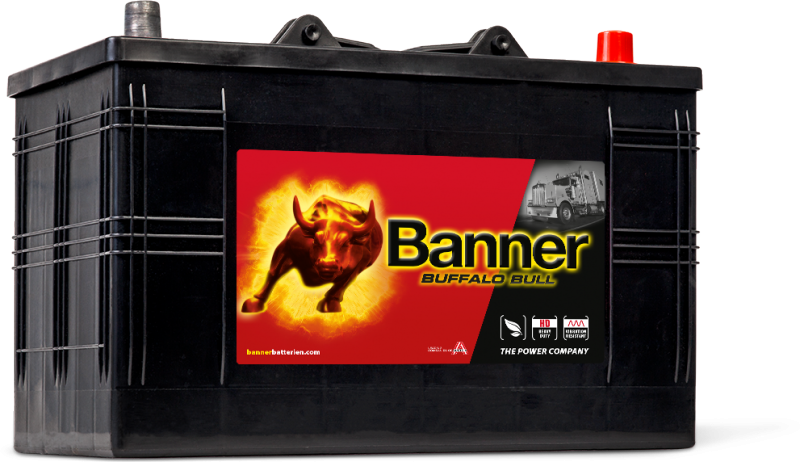 Banner Buffalo Bull 610 47