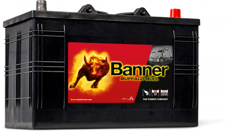 Banner Buffalo Bull 610 47