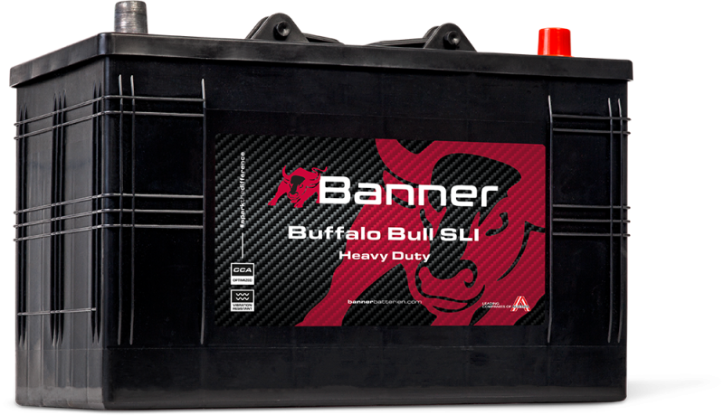 Banner Buffalo Bull 610 47