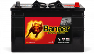 Banner Buffalo Bull 610 47