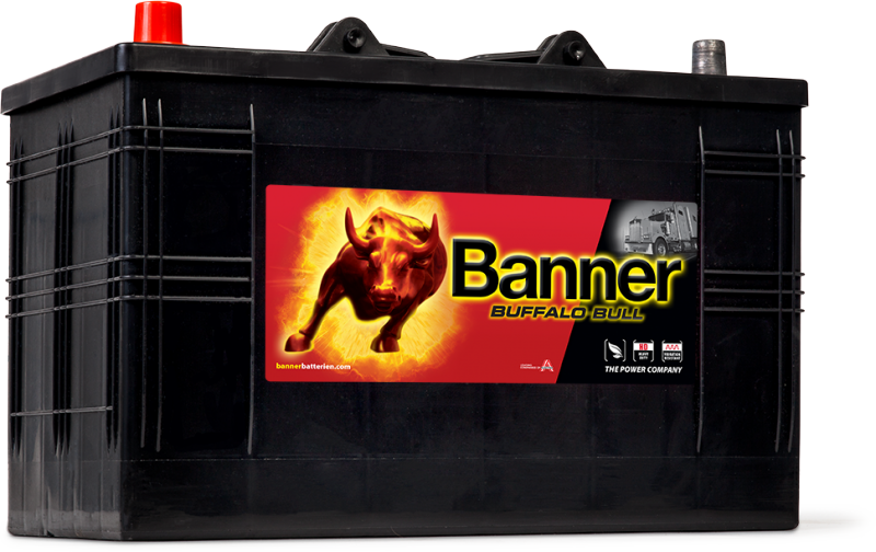 Banner Buffalo Bull 610 48