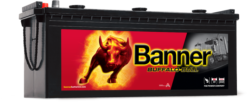 Banner Buffalo Bull 620 34