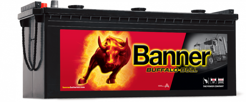 Banner Buffalo Bull 620 34