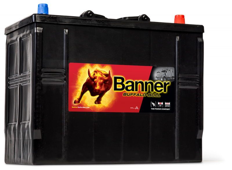 Banner Buffalo Bull 625 11