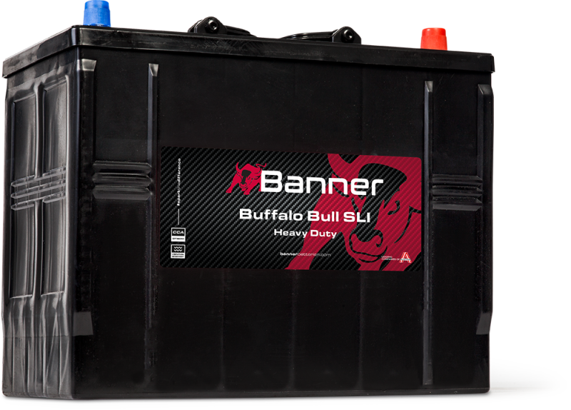Banner Buffalo Bull 625 11