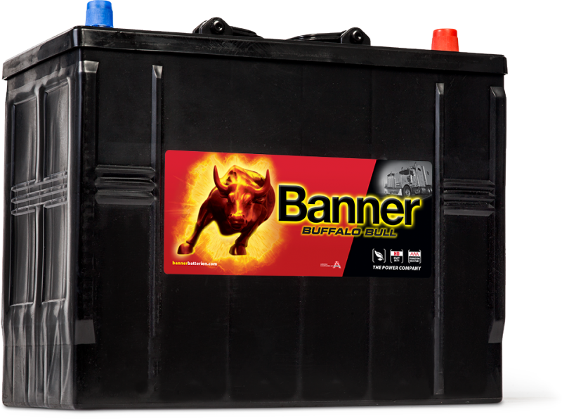 Banner Buffalo Bull 625 11