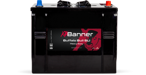 Banner Buffalo Bull 625 11