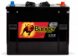 Banner Buffalo Bull 625 11