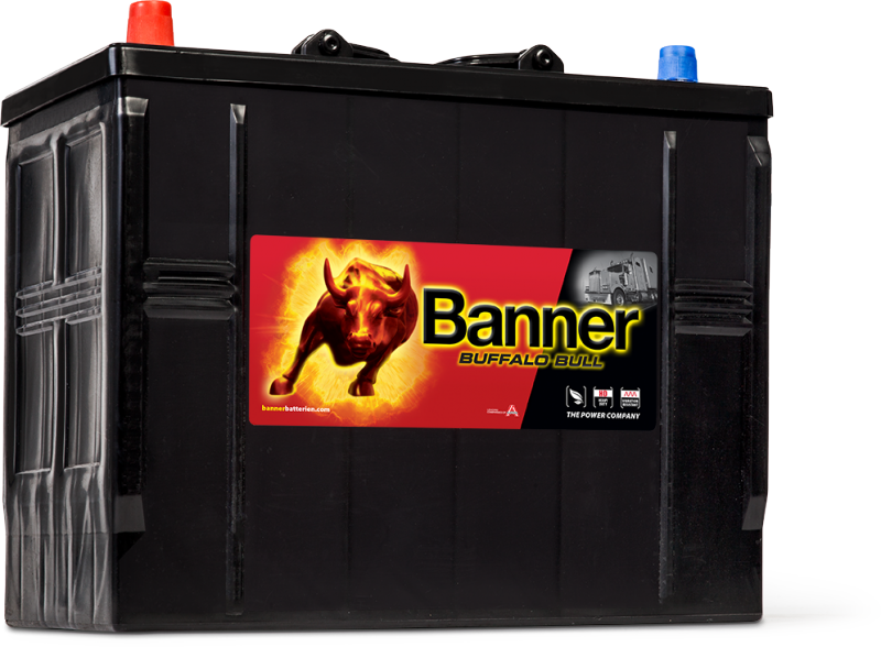 Banner Buffalo Bull 625 13