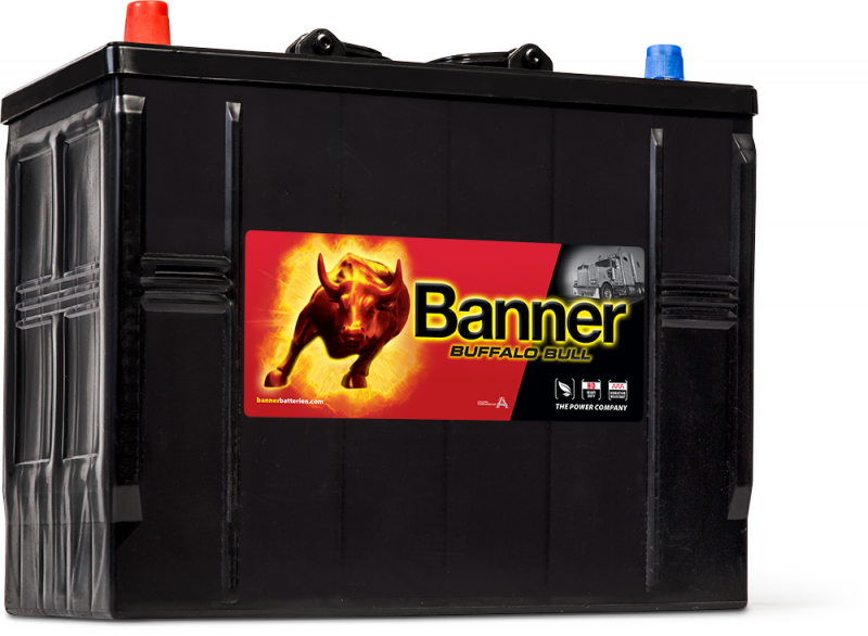 Banner Buffalo Bull 625 13