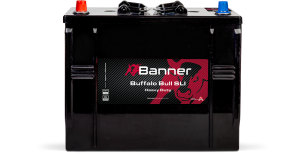 Banner Buffalo Bull 625 13