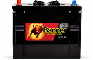 Banner Buffalo Bull 625 13