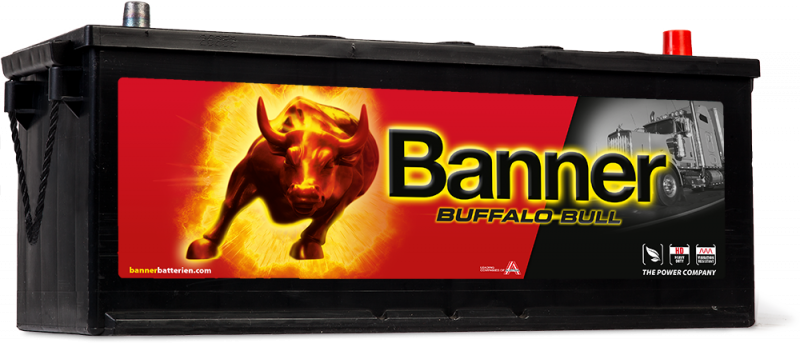 Banner Buffalo Bull 632 11