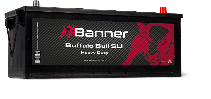 Banner Buffalo Bull 632 11