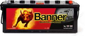 Banner Buffalo Bull 632 11