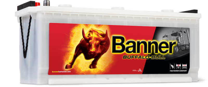 Banner Buffalo Bull 640 35