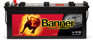 Banner Buffalo Bull 640 35