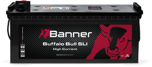 Banner Buffalo Bull 650 11 HOCHSTROM
