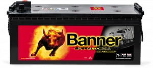 Banner Buffalo Bull 680 11 HOCHSTROM