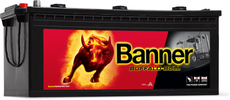 Banner Buffalo Bull 680 32