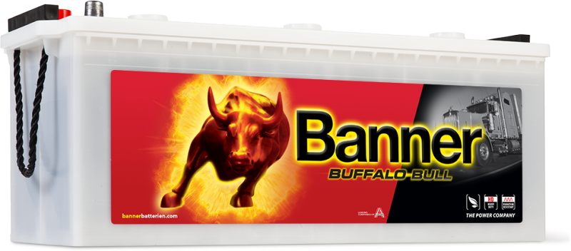 Banner Buffalo Bull 680 32