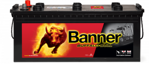 Banner Buffalo Bull 680 32