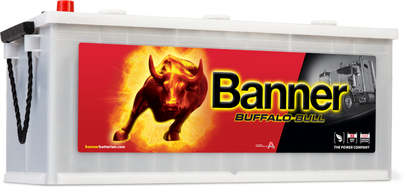 Banner Buffalo Bull 620 20