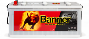 Banner Buffalo Bull 680 89