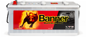 Banner Buffalo Bull 620 20