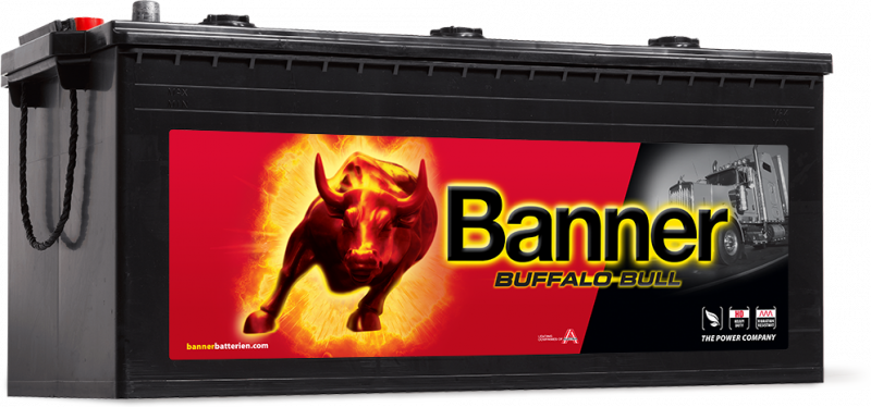 Banner Buffalo Bull 725 11