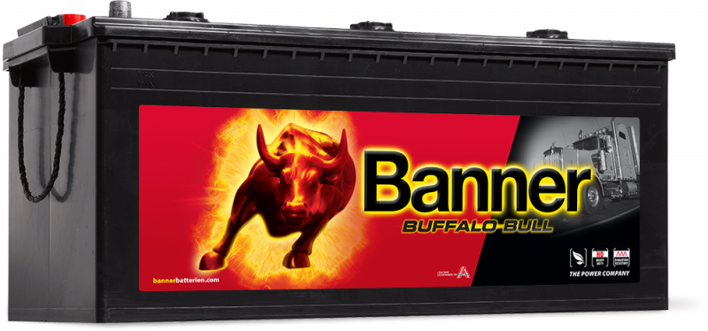 Banner Buffalo Bull 725 11