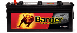 Banner Buffalo Bull 725 11